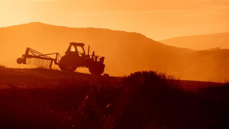 Dicas para Economizar no Preço de Carreta para trator 4 Rodas