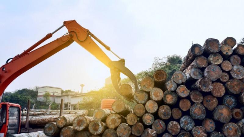 Mini skidder florestal: eficiência e versatilidade